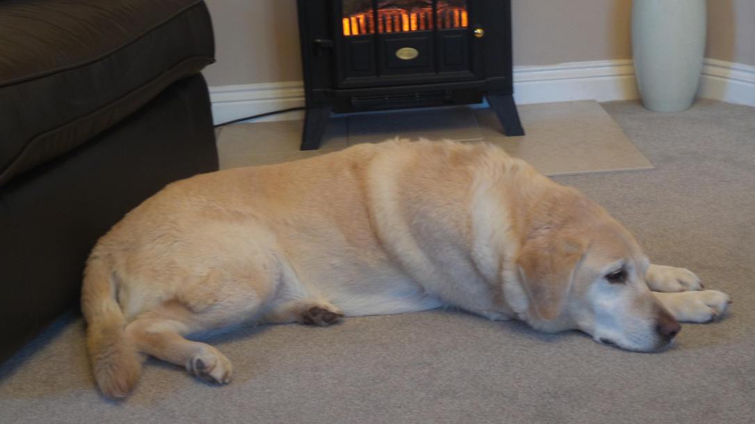 26735100_10213788880218878_1850710211_o